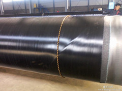 �o(w��)�p䓹ܱ���